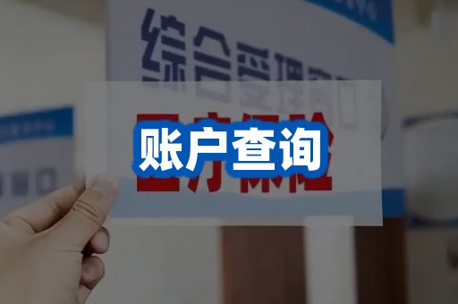 账户查询案例